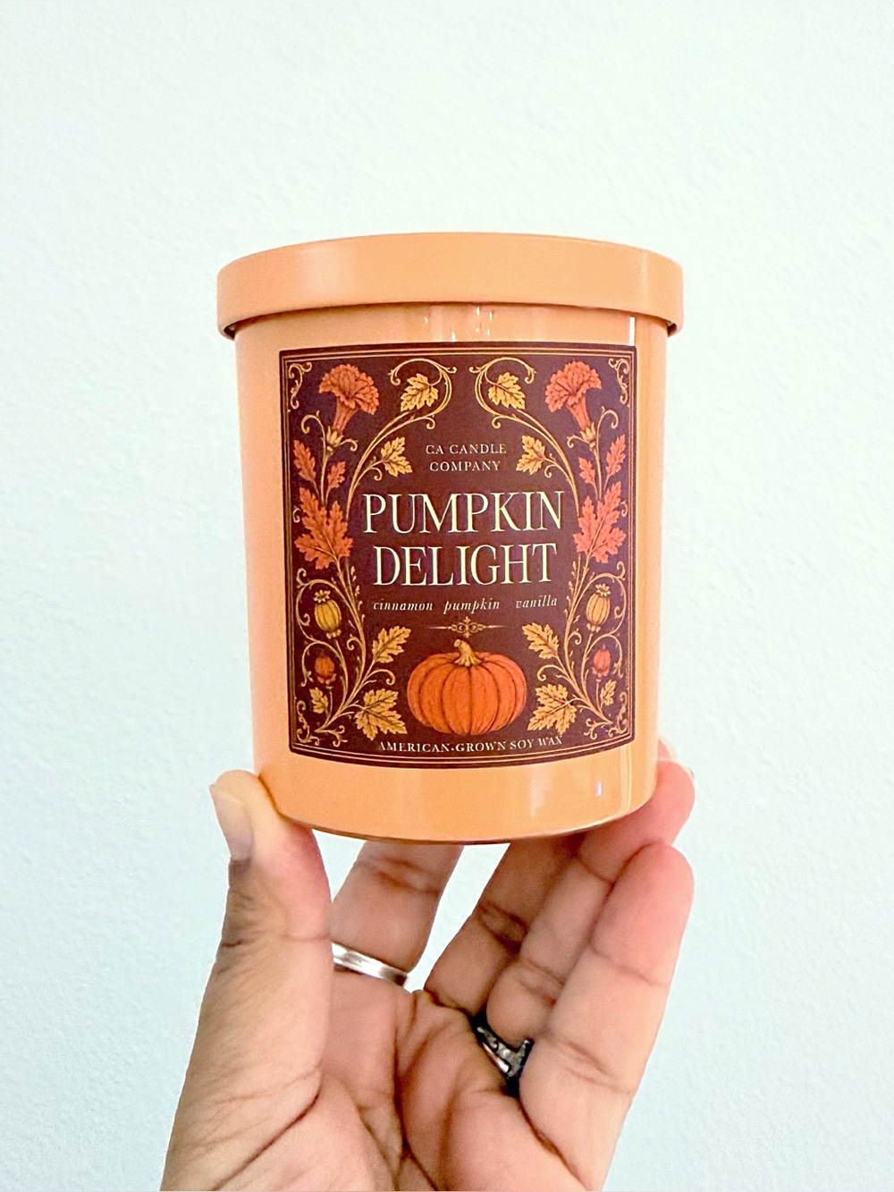 Leoben Company Pumpkin Delight Scented Candle - Orange